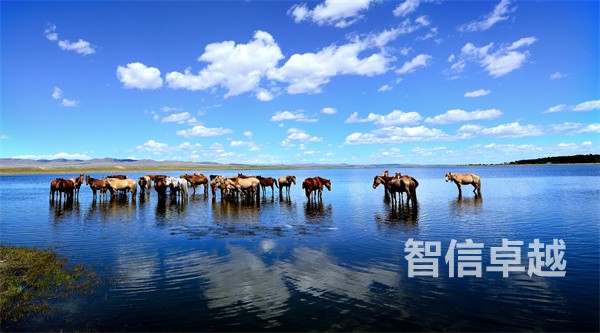 專業(yè)英文證件翻譯公司（證件翻譯公司證件翻譯價格）