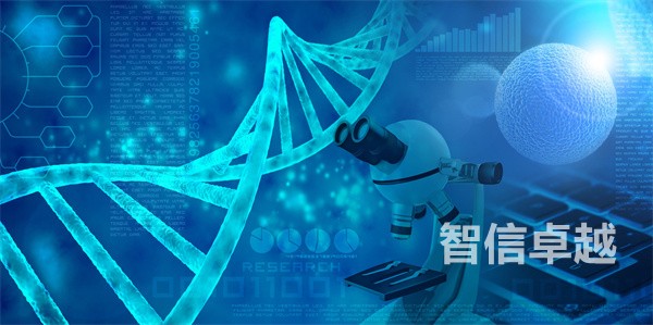 學(xué)術(shù)論文英譯漢-學(xué)術(shù)論文漢譯英