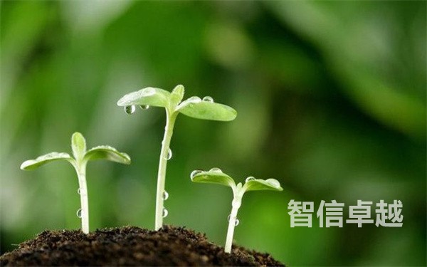 專業(yè)的醫(yī)學(xué)翻譯公司-成都醫(yī)學(xué)翻譯公司那個(gè)好 專業(yè)的醫(yī)學(xué)翻譯公司-成都醫(yī)學(xué)翻譯公司那個(gè)好