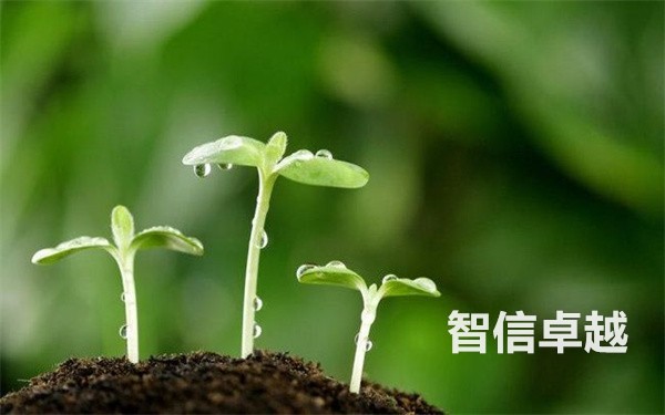 優(yōu)秀的會議口譯翻譯公司字幕選-專業(yè)正規(guī)的日語口譯翻譯 優(yōu)秀的會議口譯翻譯公司字幕選-專業(yè)正規(guī)的日語口譯翻譯