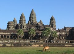 成都烏爾都語(yǔ)翻譯公司（烏爾都翻譯價(jià)格）