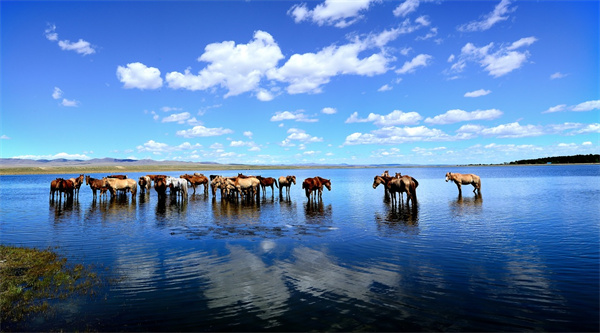 成都翻譯公司,影視翻譯,影視翻譯的流程